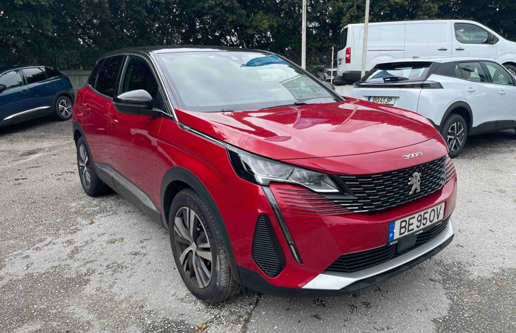 foto_2450101_21391946