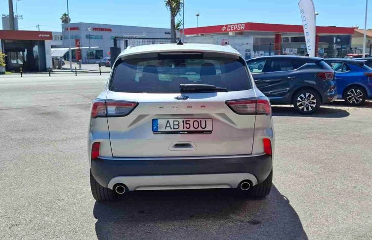 foto_2991594_26225318