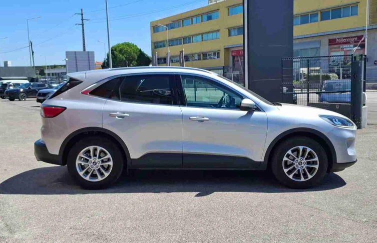 foto_2991594_26225319