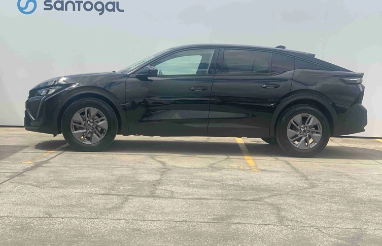 foto_2946509_25367070