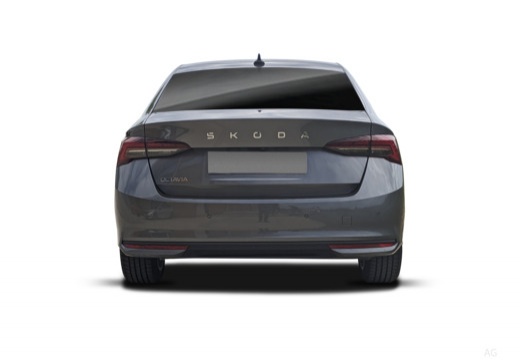 Octavia Diesel (A8) 24-_3