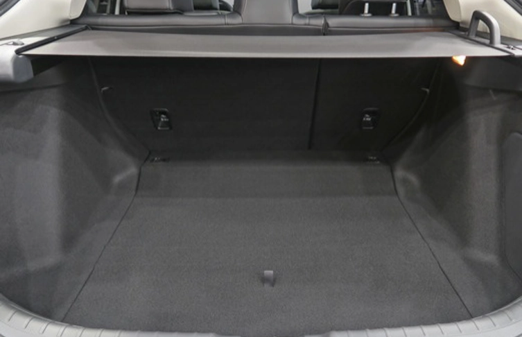 fotocat_46950_19091304