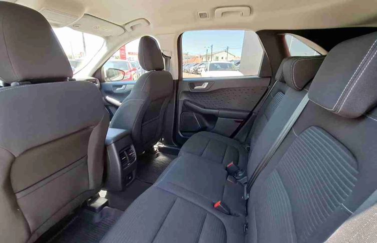 foto_2991594_26225332