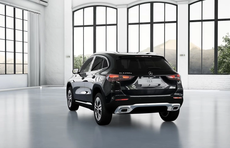 foto_2975522_26663777