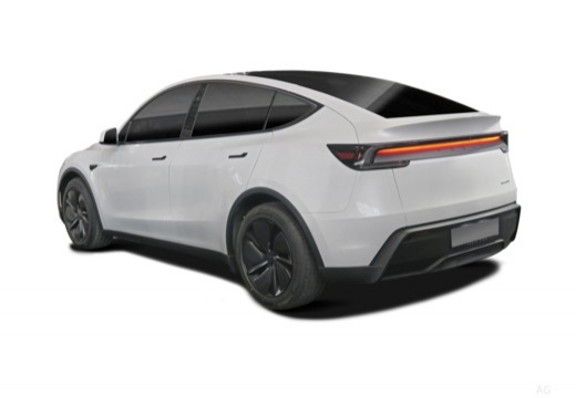 Model Y (NV36) 25-_1