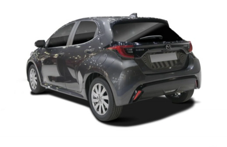 foto_2982699_19866266