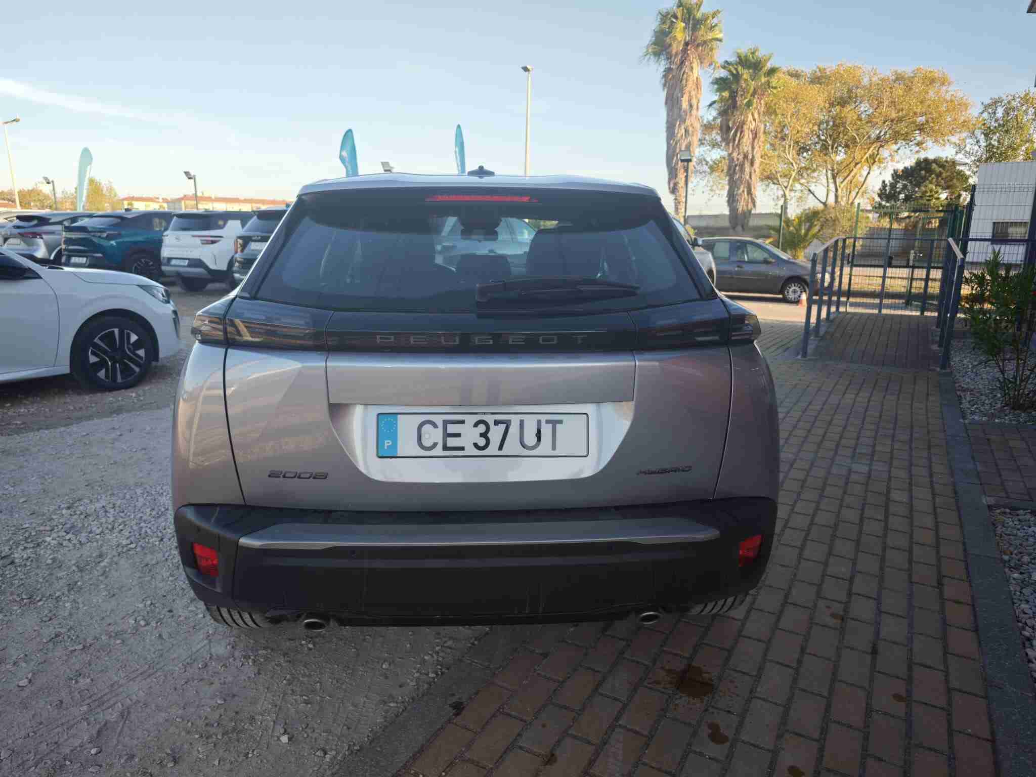 3099646_3