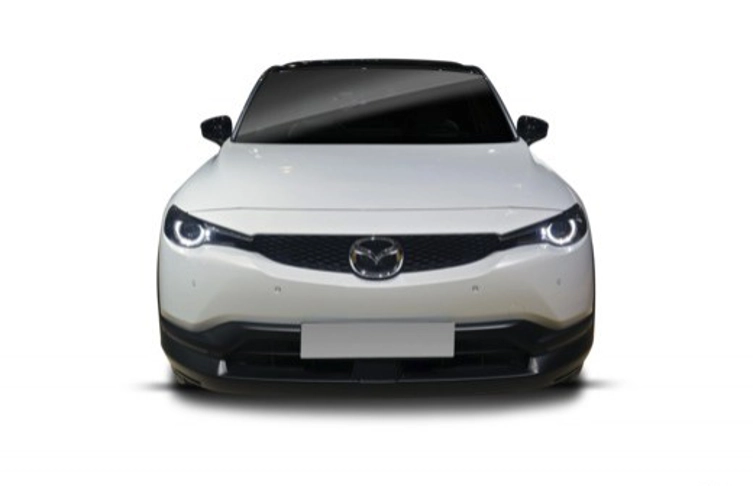 fotocat_34432_7900421