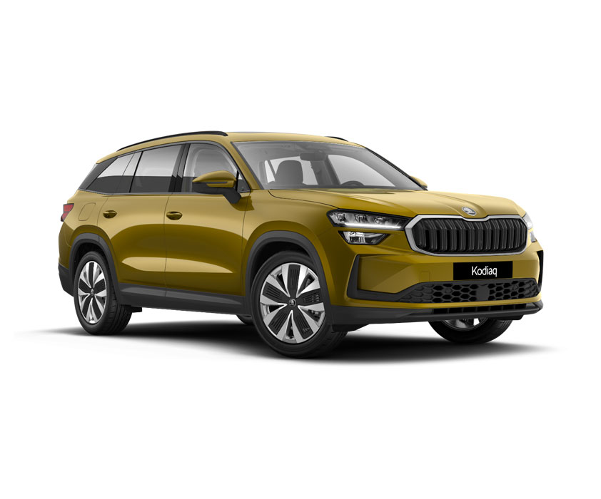 Kodiaq (PS7) 24-_1