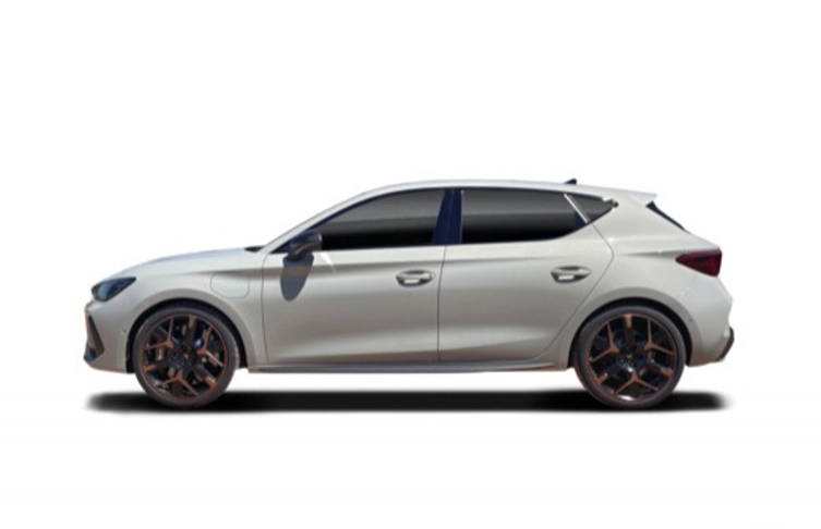 fotocat_54729_26516238