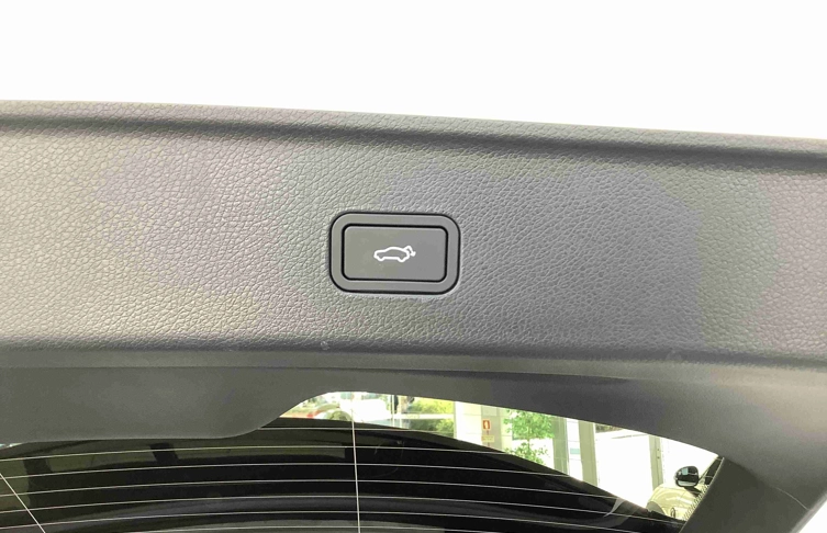 foto_2983497_26176298