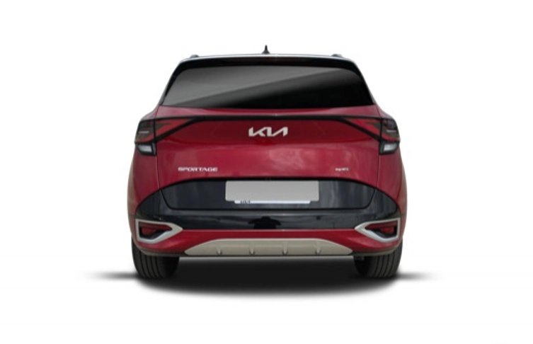 foto_3007496_17341723