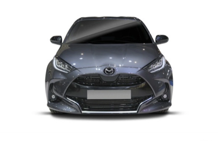 foto_2982699_19866267