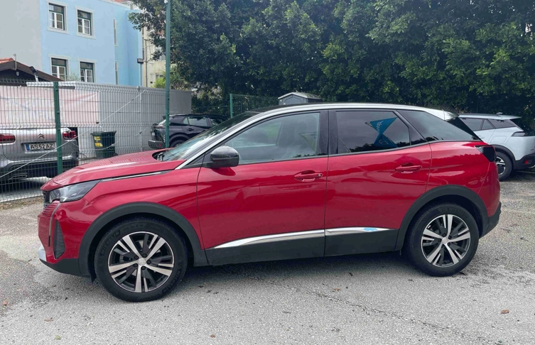 foto_2450101_21391952