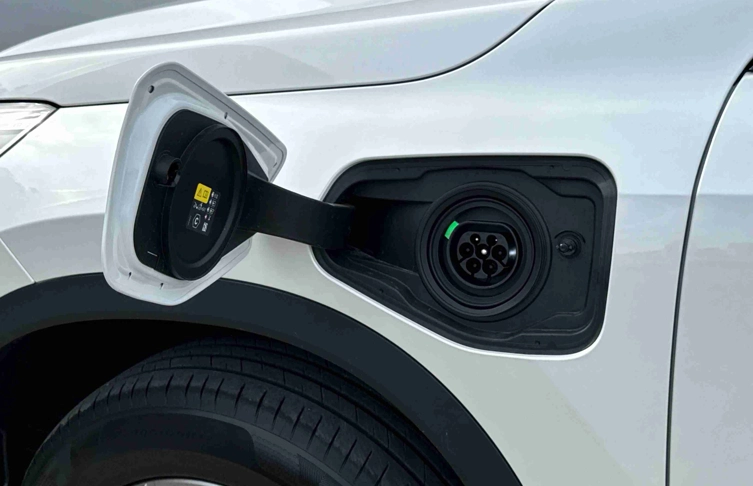 foto_2935609_27206003