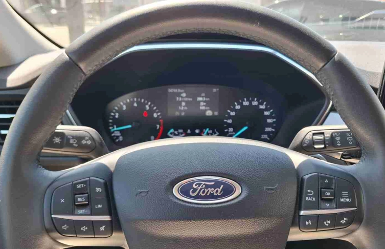 foto_2991594_26225338