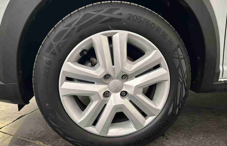 foto_2945787_24461452