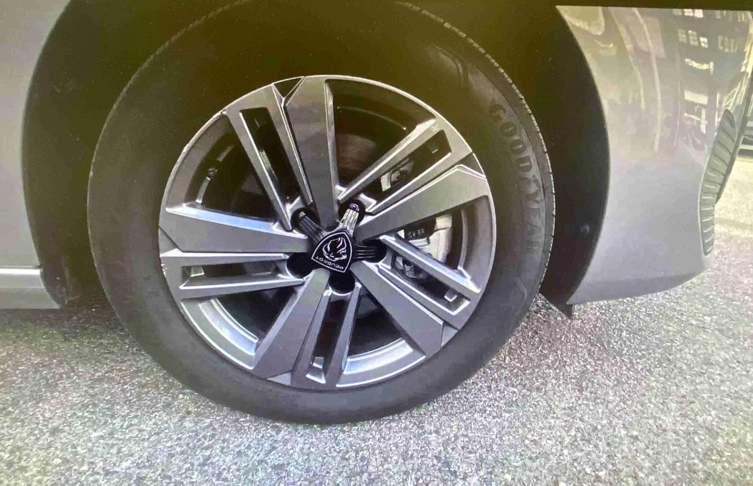 foto_2822386_26846655