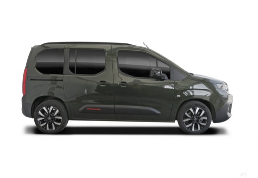 Berlingo Diesel (1CK9) 25-_5