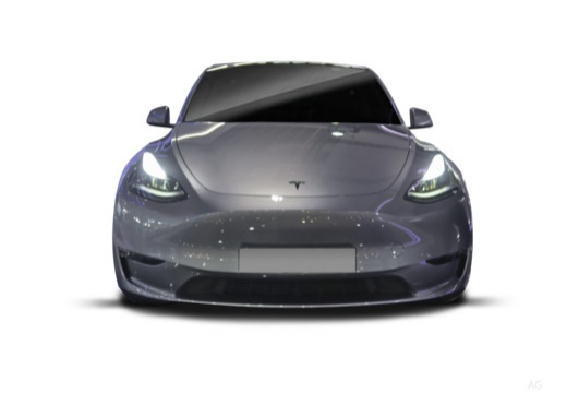 Model Y (NV36) 25-_3