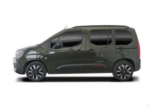 Berlingo Diesel (1CK9) 25-_4