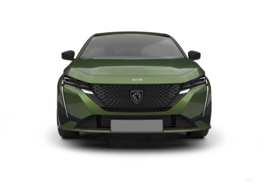 308 Diesel (1PP5) 21-_3