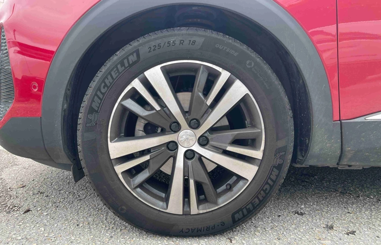 foto_2450101_21391954