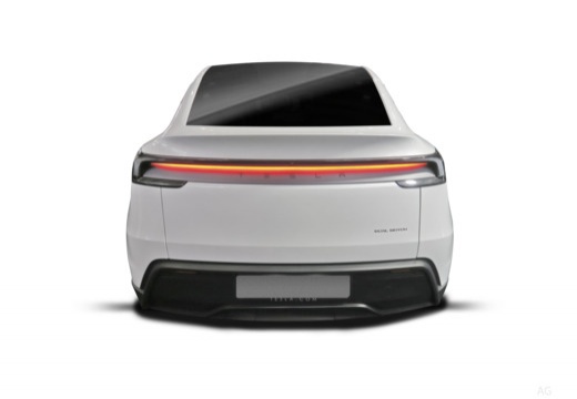 Model Y (NV36) 25-_5