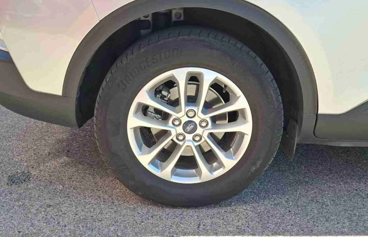 foto_2991594_26225298