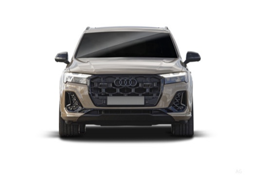 Q7 PI Diesel (4M) 24-_2