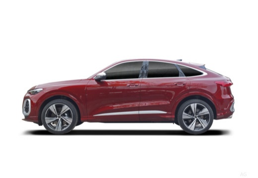 Q5 Sportback Hibrido (GU) 25-_4