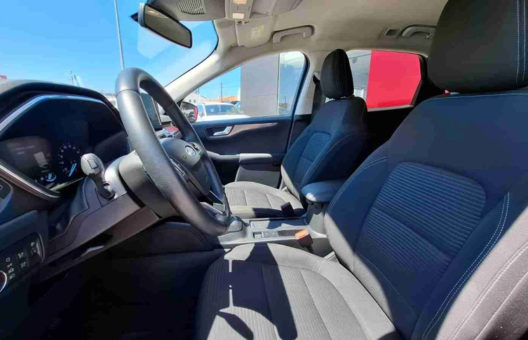 foto_2991594_26225330