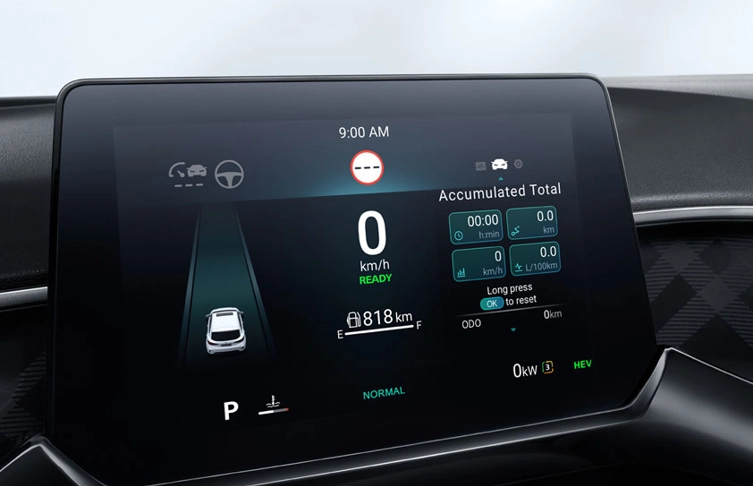 Santogal Mg 3 Hybrid 8