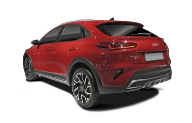 foto_3012789_19312830