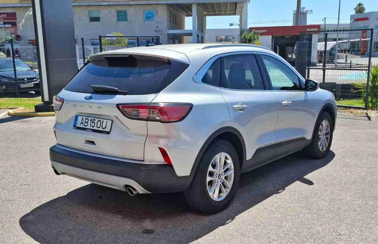 foto_2991594_26225299