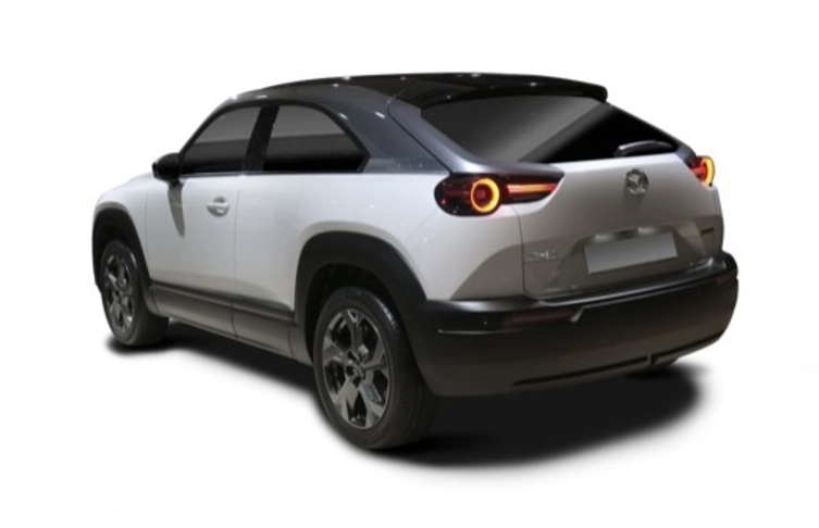 fotocat_34431_7900420