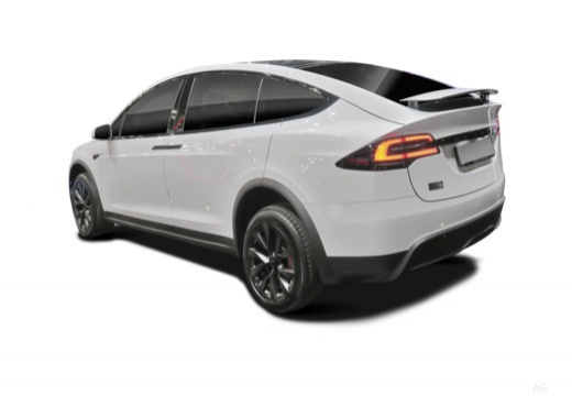 fotocat_50114_20278348