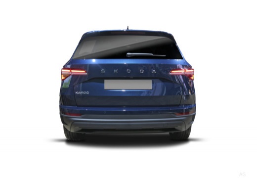 Karoq Diesel (NU7) 22-_3