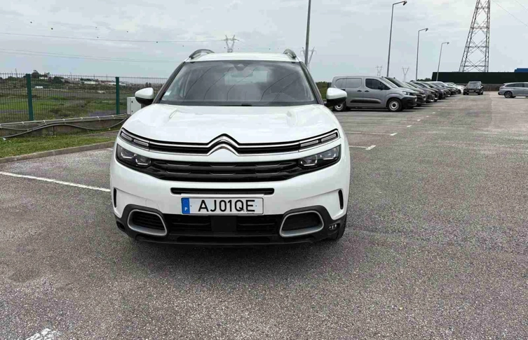 foto_2960523_25135455