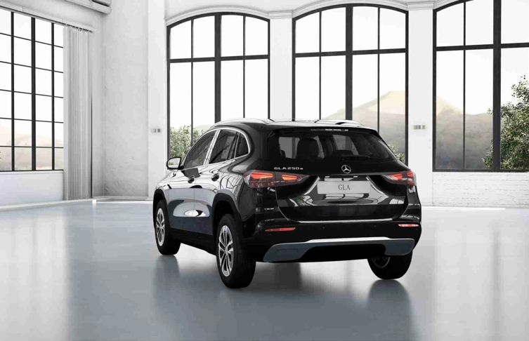 foto_2945078_26181815