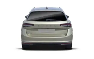 Superb Break (NZ5) 24-_3