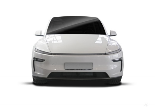 Model Y (NV36) 25-_4