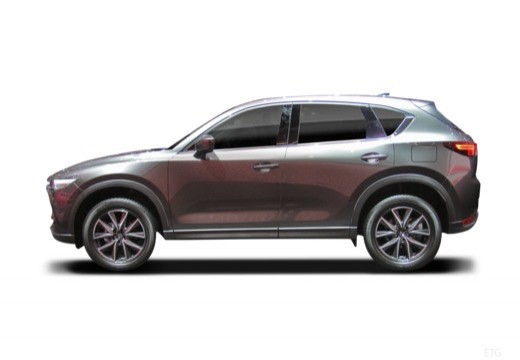 foto_3052275_4373087