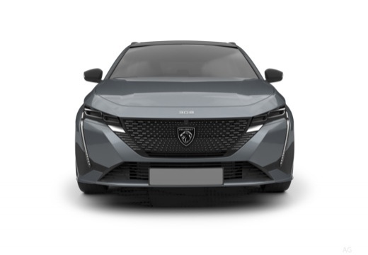 308 SW Diesel (1PP5) 21-_3