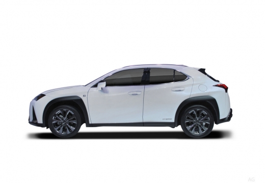 foto_3048493_4373614