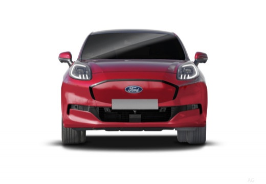 Puma Eléctrico (BX726) 24-_2