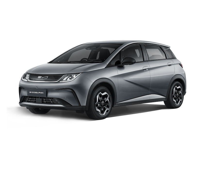 SANTOGAL BYD DOLPHIN