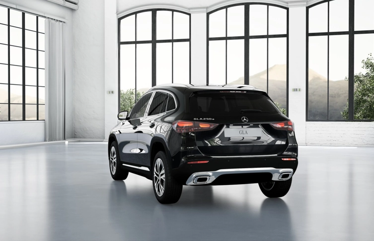 foto_2979662_26663324