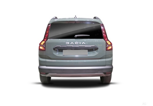 Jogger Hybrid (RI1) 23-_3