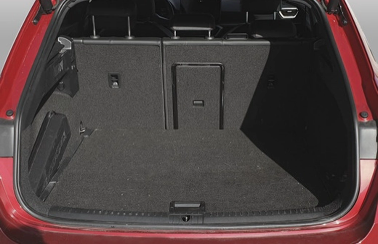 fotocat_35171_26237123